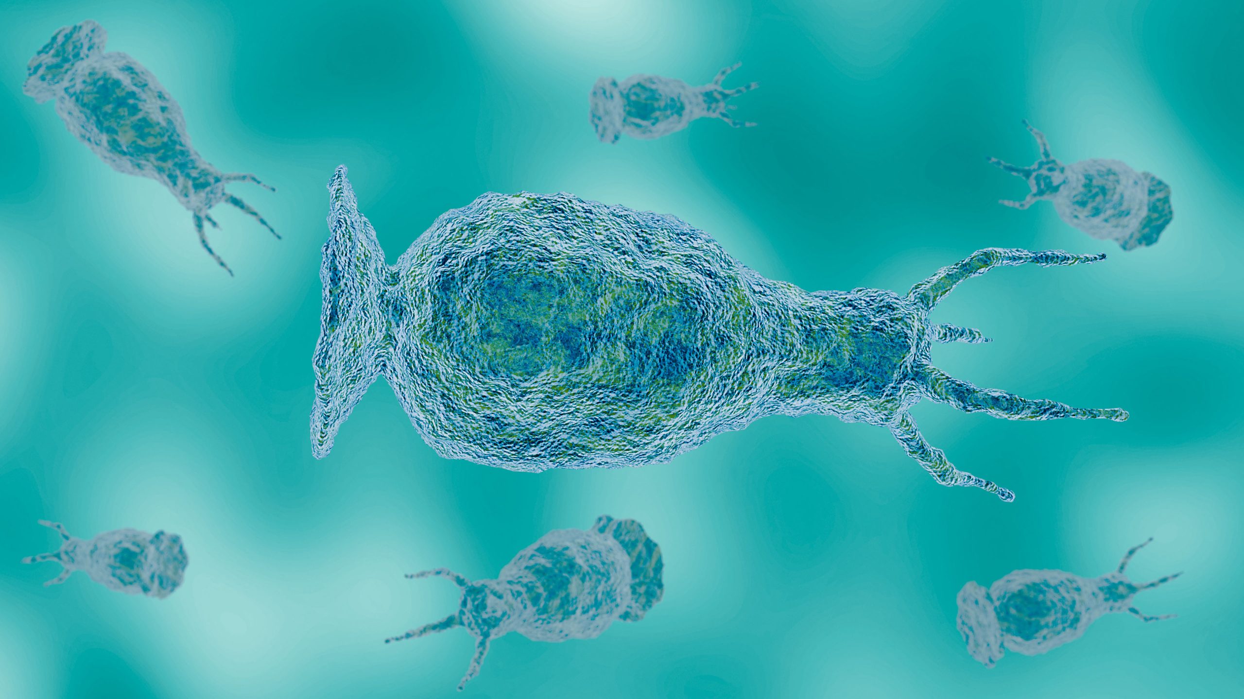 Getty braineatingamoeba 091626