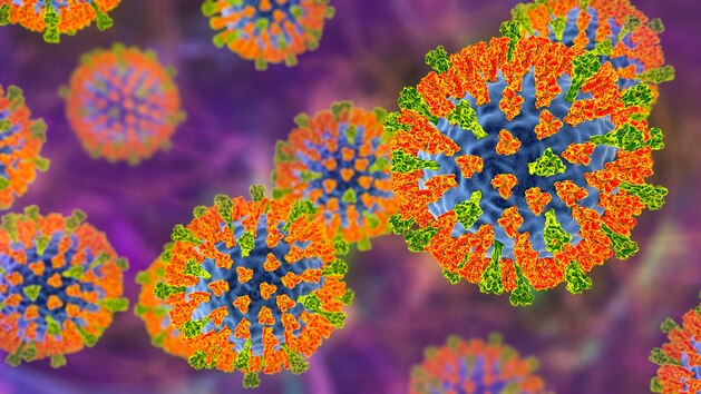 Measles gty er 250602 1748902687395 hpmain